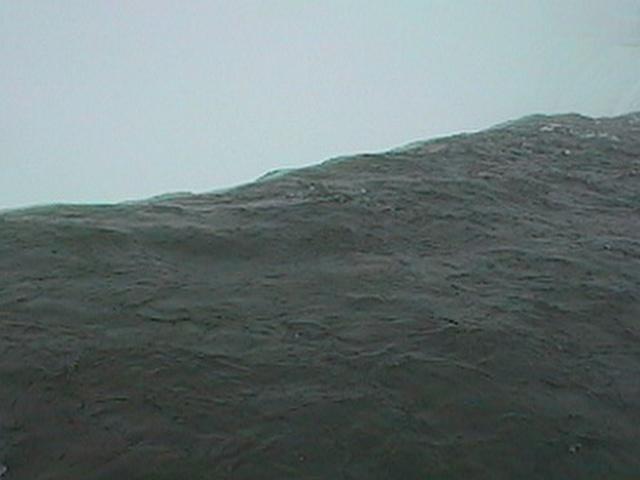 Falls - Top.jpg